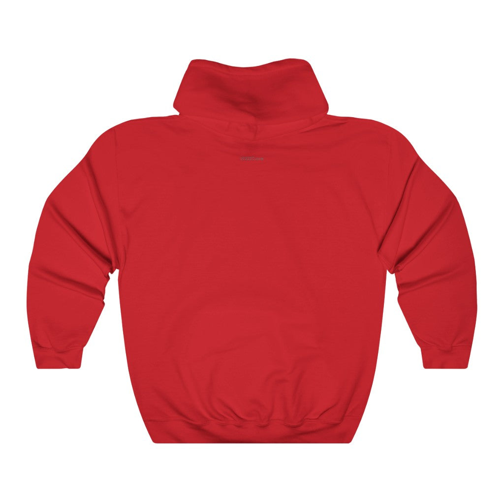 9533TC Hoodie (Black-Blue-Red/Gold)